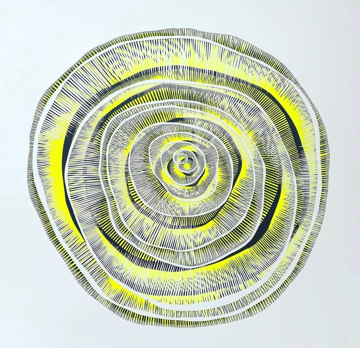 Rugby & District Art Society Members